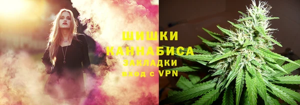 трава Арсеньев