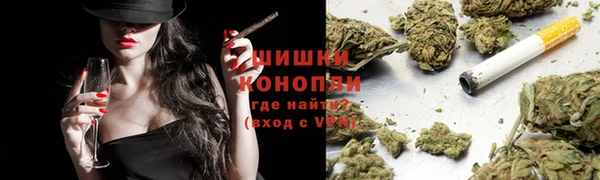 трава Арсеньев